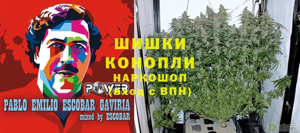 ECSTASY Алзамай