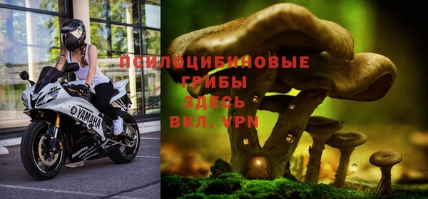спиды Алексин