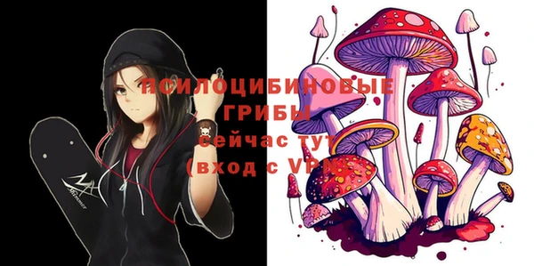 мдма Михайлов