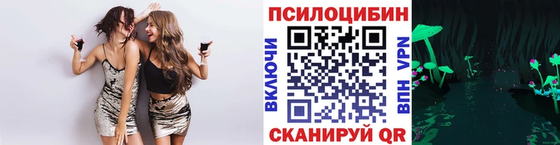 OMG ссылки  Нижнеудинск  Галлюциногенные грибы прущие грибы 